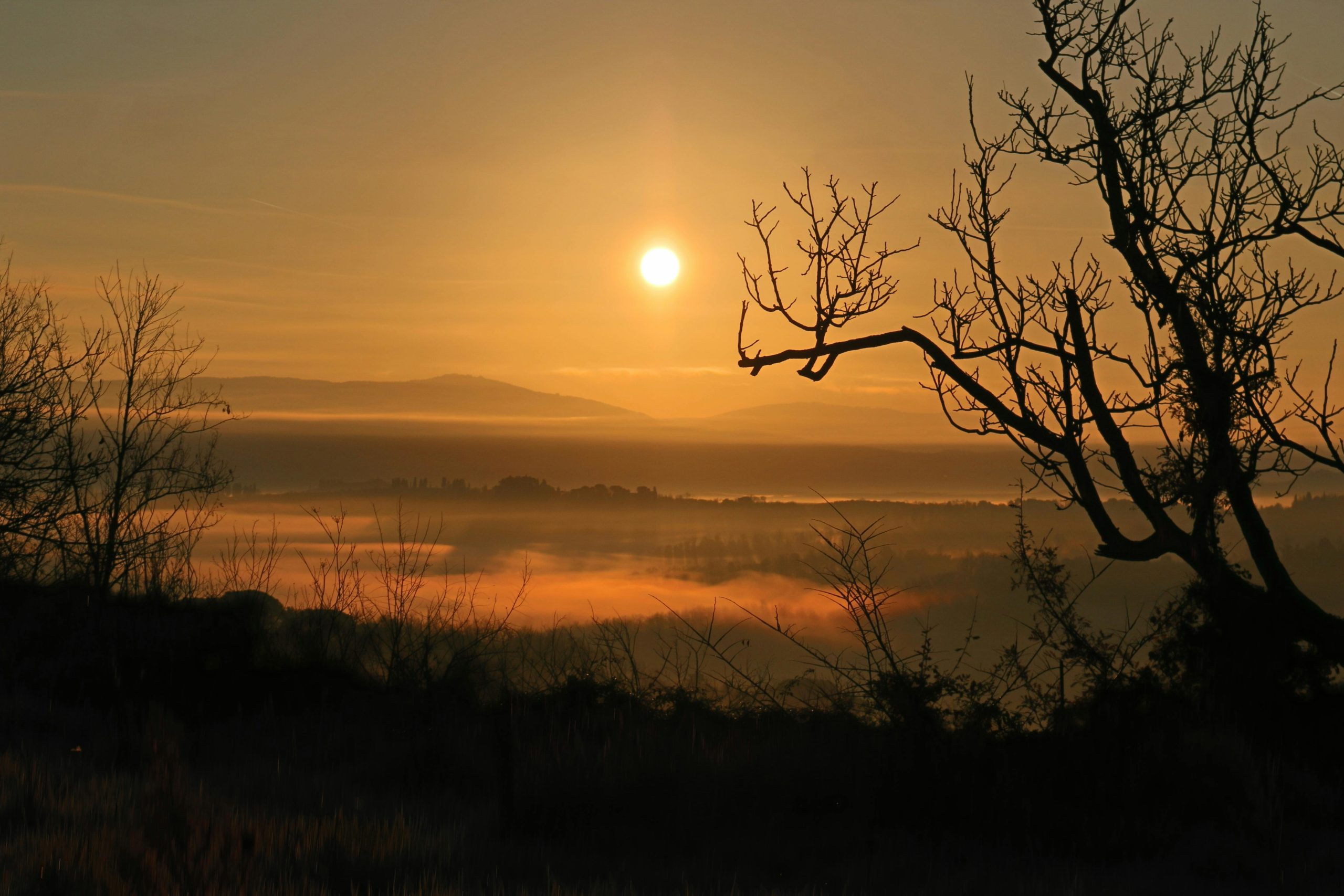 Person standing in morning sunlight representing natural Vitamin D production