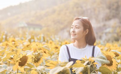 sunlight food supplements comparison vitamin d sources chart